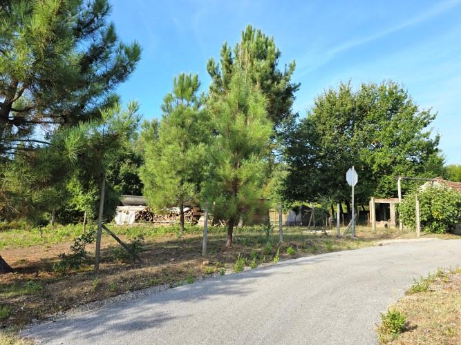 Image No.50-Terre de 4 chambres à vendre à Pedrógão Grande