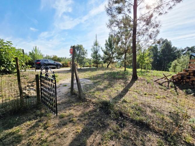 Image No.54-Terre de 4 chambres à vendre à Pedrógão Grande