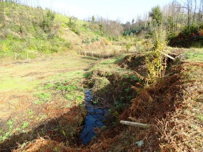 Image No.7-Terre à vendre à Pedrógão Grande