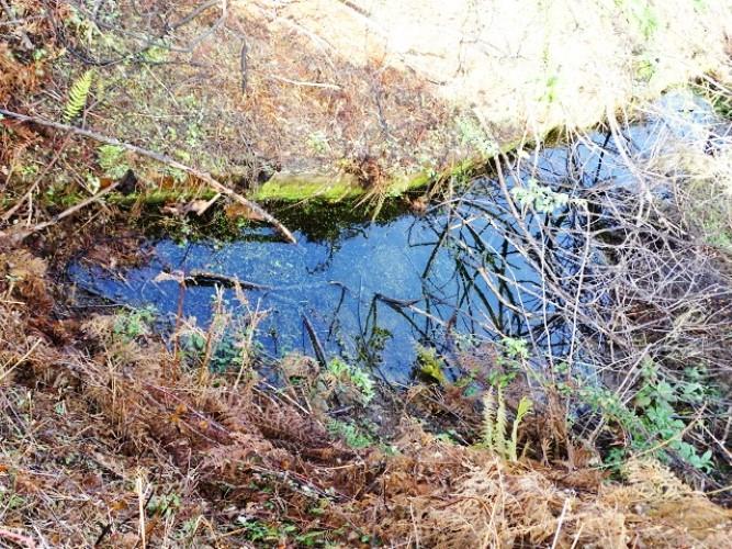 Image No.8-Terre à vendre à Pedrógão Grande