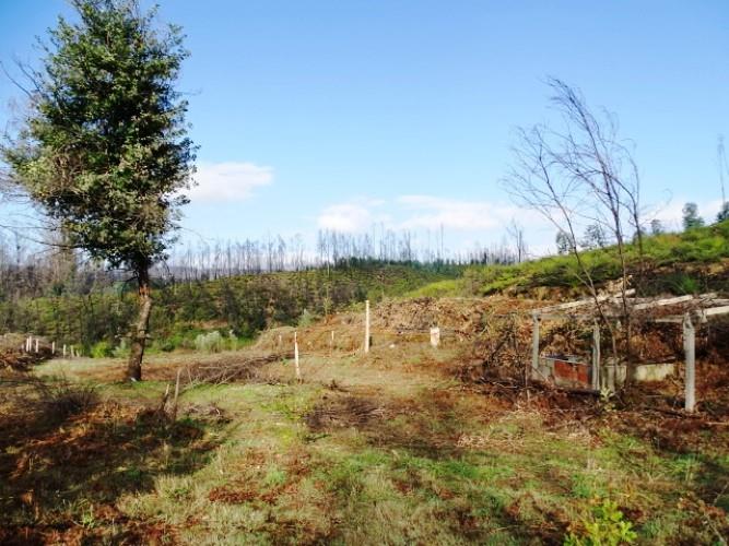 Image No.12-Terre à vendre à Pedrógão Grande