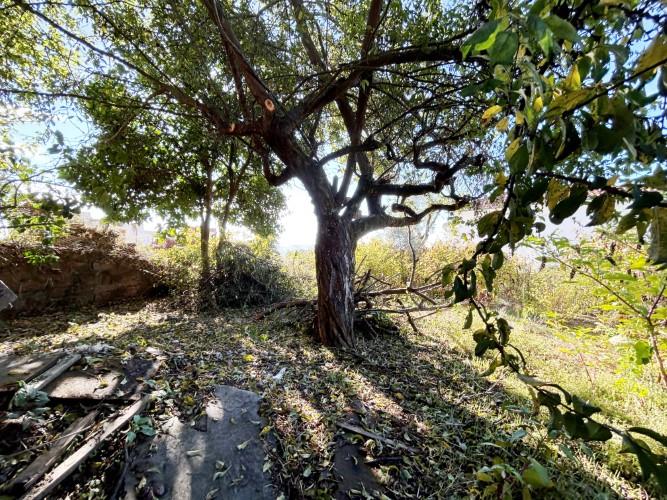 Image No.22-Maison de village de 3 chambres à vendre à Pedrógão Grande