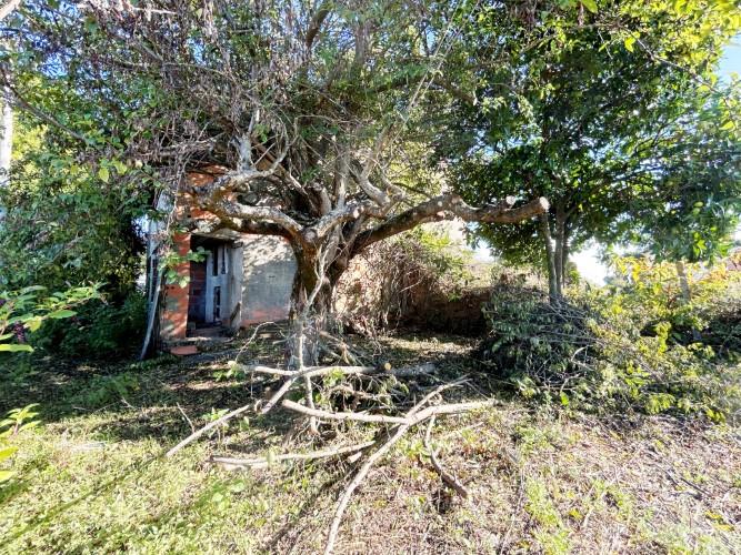 Image No.23-Maison de village de 3 chambres à vendre à Pedrógão Grande