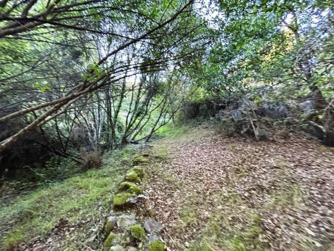 Image No.53-Un hôtel de 9 chambres à vendre à Castanheira de Pêra