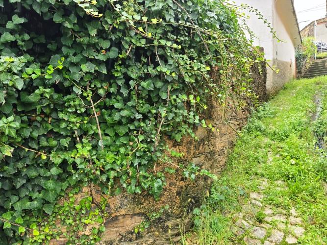 Image No.7-Maison de village de 2 chambres à vendre à Pampilhosa da Serra