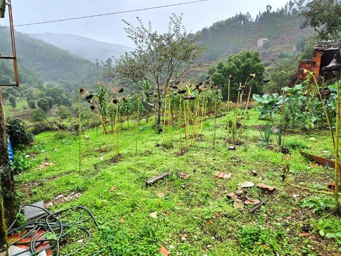 Image No.10-Maison de village de 2 chambres à vendre à Pampilhosa da Serra