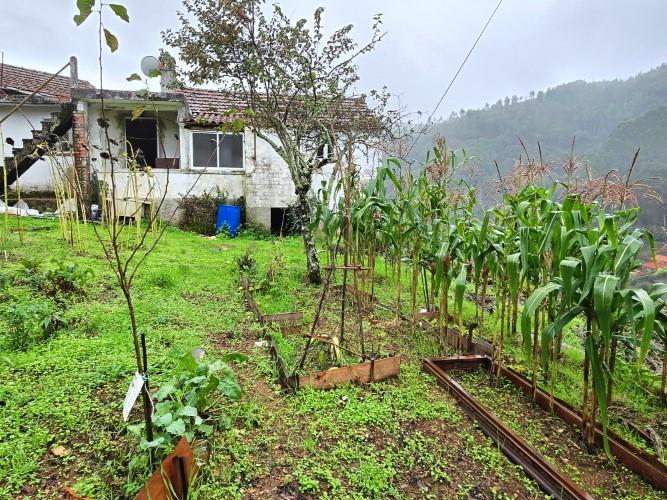 Image No.12-Maison de village de 2 chambres à vendre à Pampilhosa da Serra