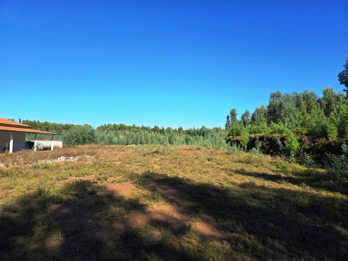 Image No.35-Ferme de 4 chambres à vendre à Pedrógão Grande