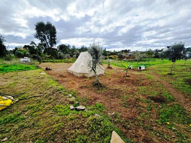 Image No.4-Farmhouse for sale