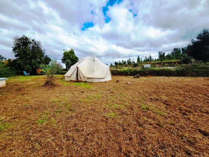 Image No.5-Farmhouse for sale