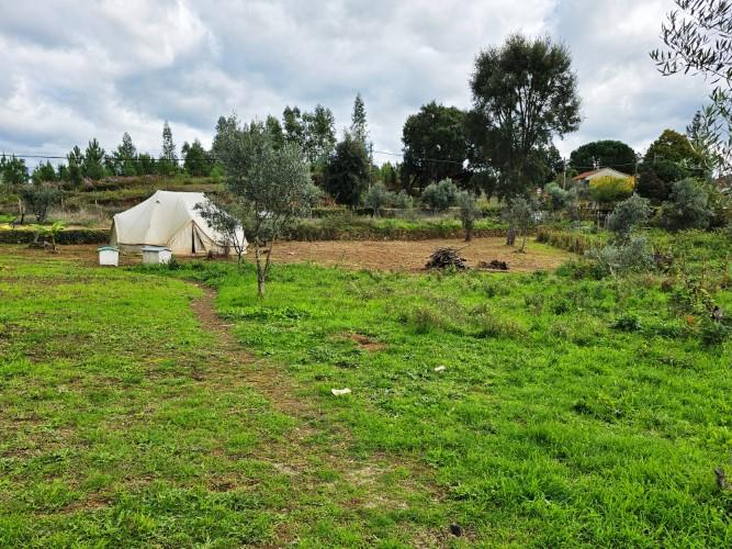 Image No.6-Farmhouse for sale