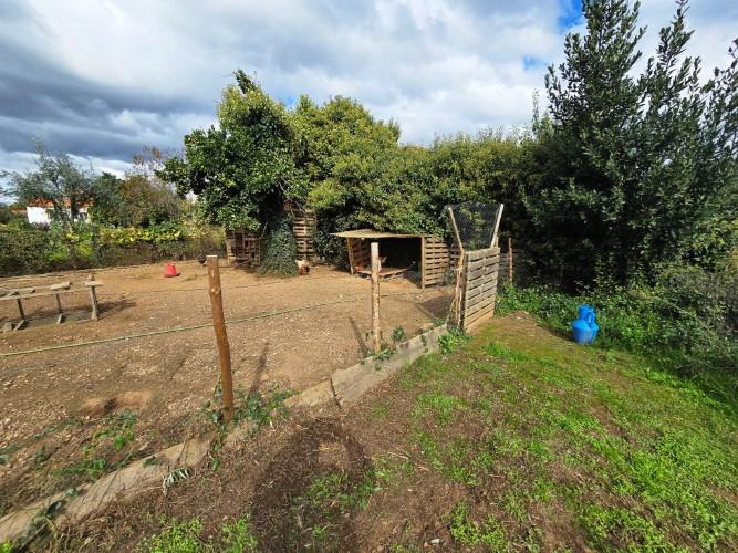 Image No.8-Farmhouse for sale