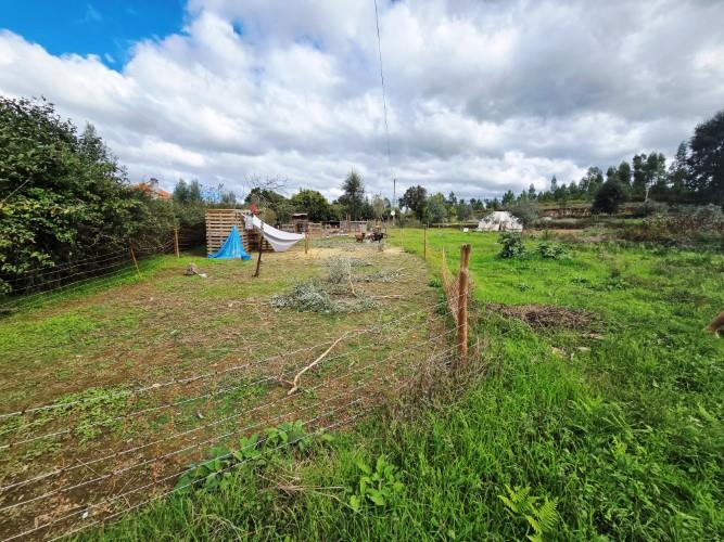 Image No.15-Farmhouse for sale