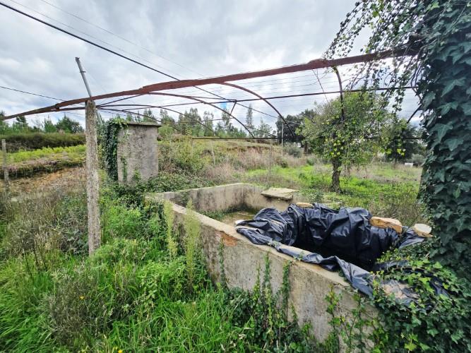 Image No.22-Farmhouse for sale