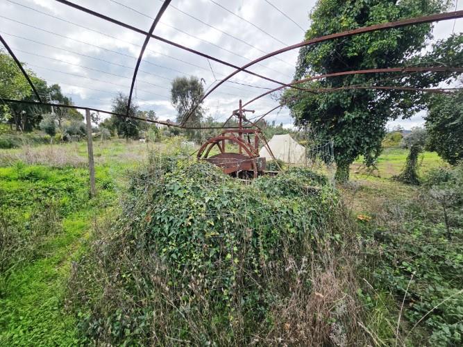 Image No.23-Farmhouse for sale