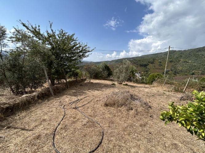 Image No.29-Maison de 2 chambres à vendre à Pampilhosa da Serra