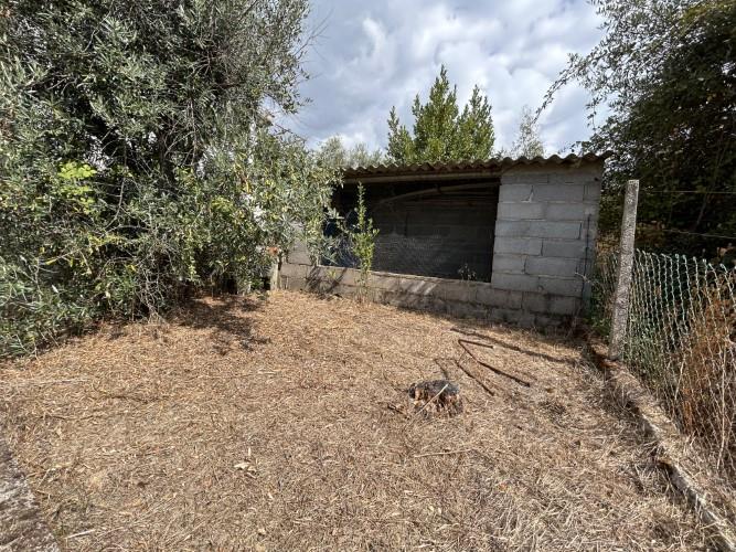 Image No.33-Maison de 2 chambres à vendre à Pampilhosa da Serra