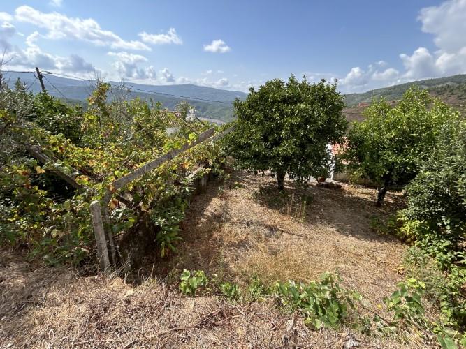 Image No.34-Maison de 2 chambres à vendre à Pampilhosa da Serra