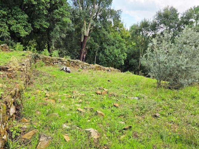 Image No.57-Maison de campagne de 4 chambres à vendre à Álvares