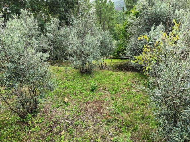 Image No.58-Maison de campagne de 4 chambres à vendre à Álvares