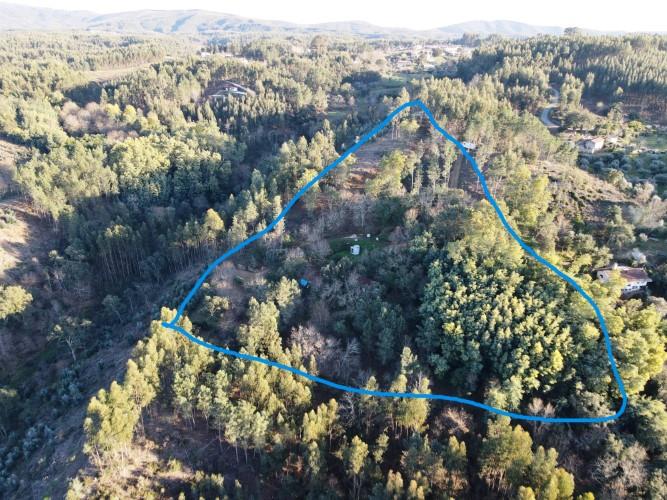 Image No.13-1 Bed Property for sale