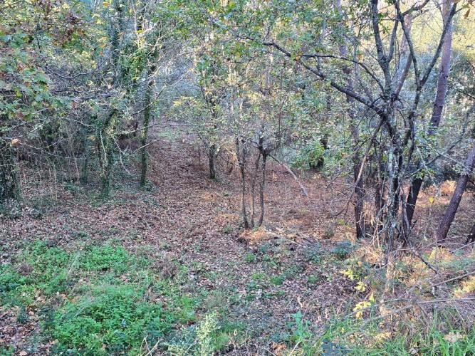 Image No.42-1 Bed Property for sale