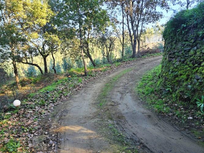 Image No.43-1 Bed Property for sale