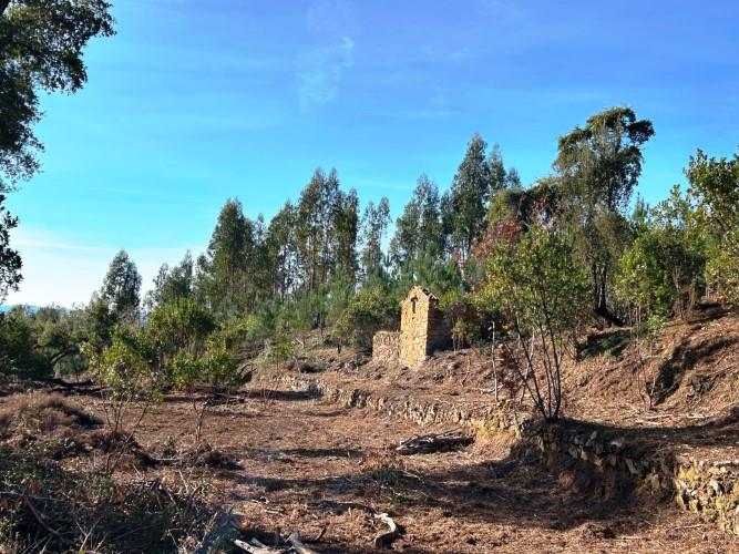 Image No.5-Terre à vendre à Góis