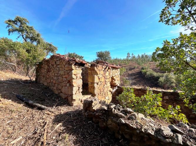 Image No.8-Terre à vendre à Góis