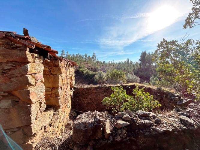 Image No.9-Terre à vendre à Góis