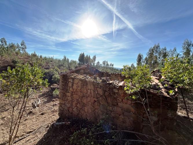 Image No.12-Terre à vendre à Góis