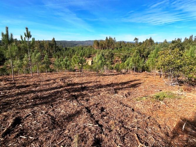 Image No.15-Terre à vendre à Góis