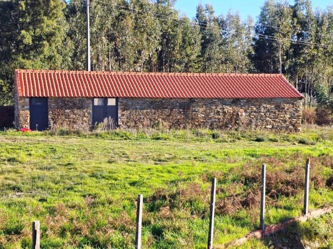 Image No.8-Terre à vendre à Pedrógão Grande