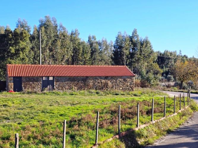 Image No.7-Terre à vendre à Pedrógão Grande