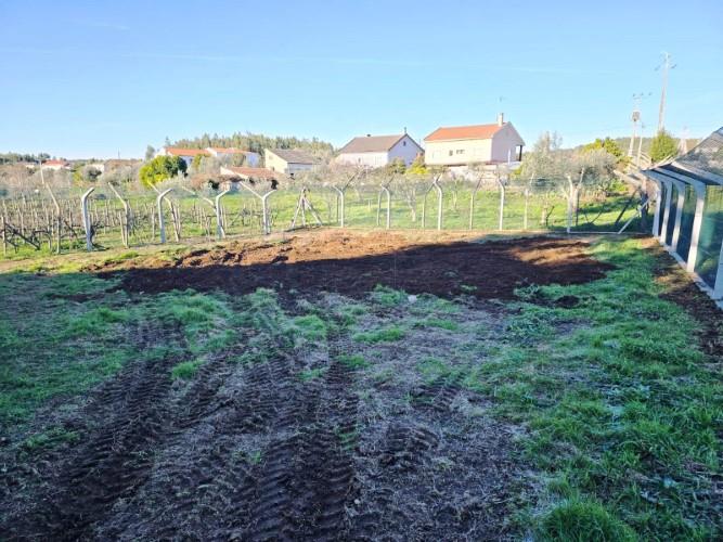 Image No.32-Terre à vendre à Pedrógão Grande