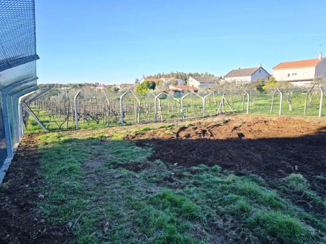 Image No.33-Terre à vendre à Pedrógão Grande