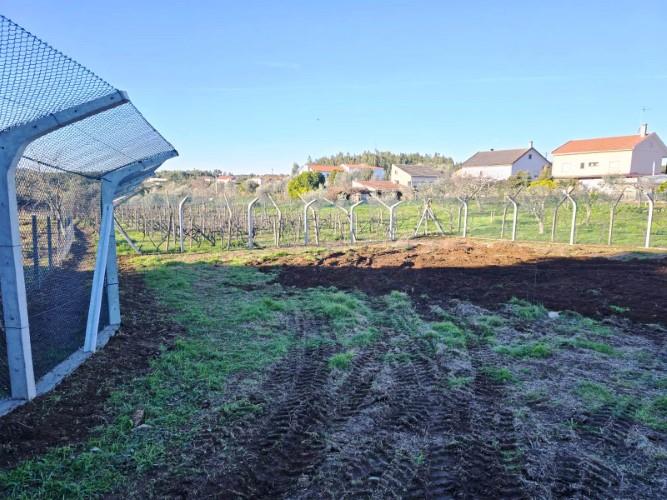 Image No.35-Terre à vendre à Pedrógão Grande