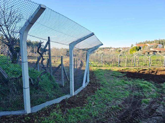 Image No.36-Terre à vendre à Pedrógão Grande