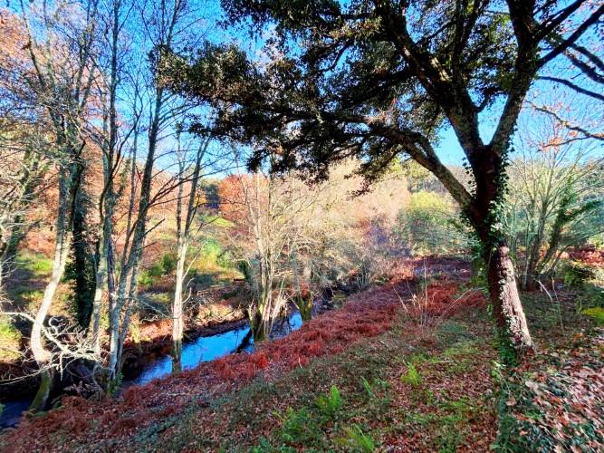 Image No.1-Land for sale