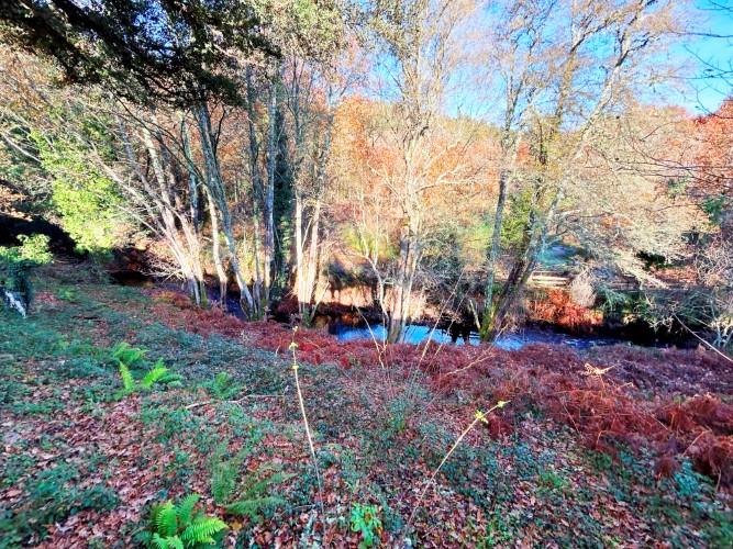 Image No.2-Land for sale