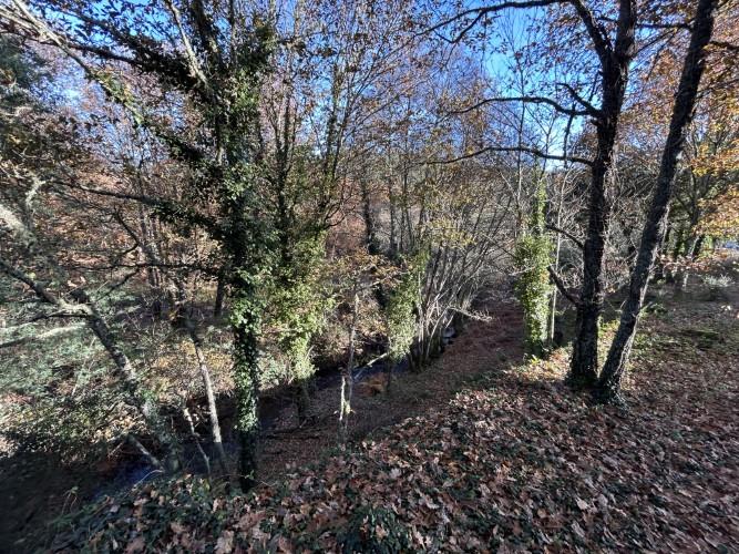 Image No.4-Land for sale