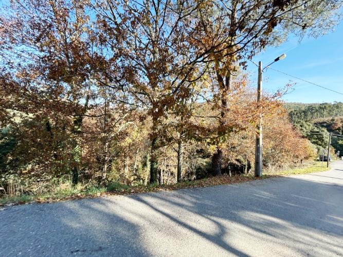 Image No.11-Land for sale