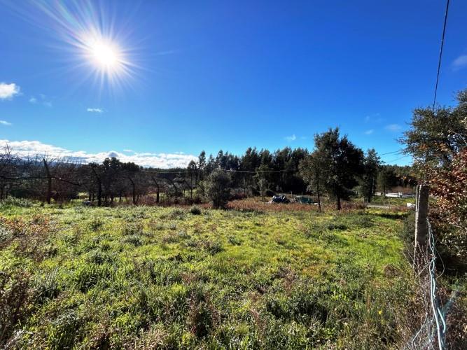 Image No.5-Land for sale