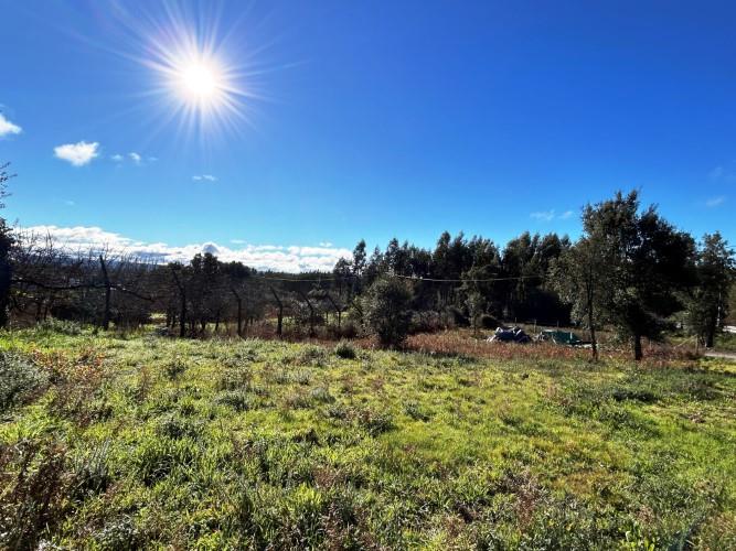 Image No.7-Land for sale