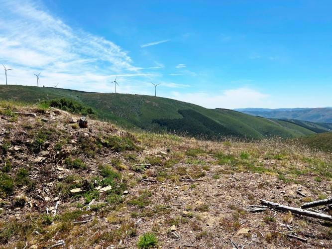 Image No.3-Terre à vendre à Pampilhosa da Serra