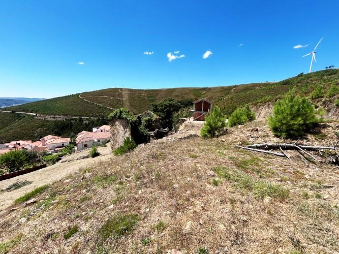 Image No.6-Terre à vendre à Pampilhosa da Serra