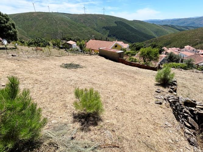 Image No.7-Terre à vendre à Pampilhosa da Serra