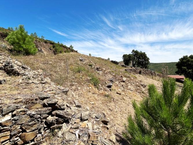 Image No.8-Terre à vendre à Pampilhosa da Serra