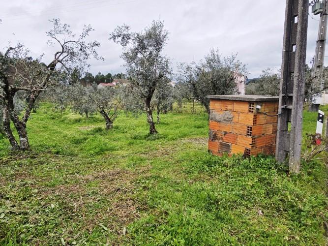 Image No.4-Terre à vendre à Pedrógão Grande