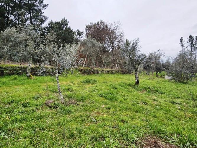 Image No.10-Terre à vendre à Pedrógão Grande